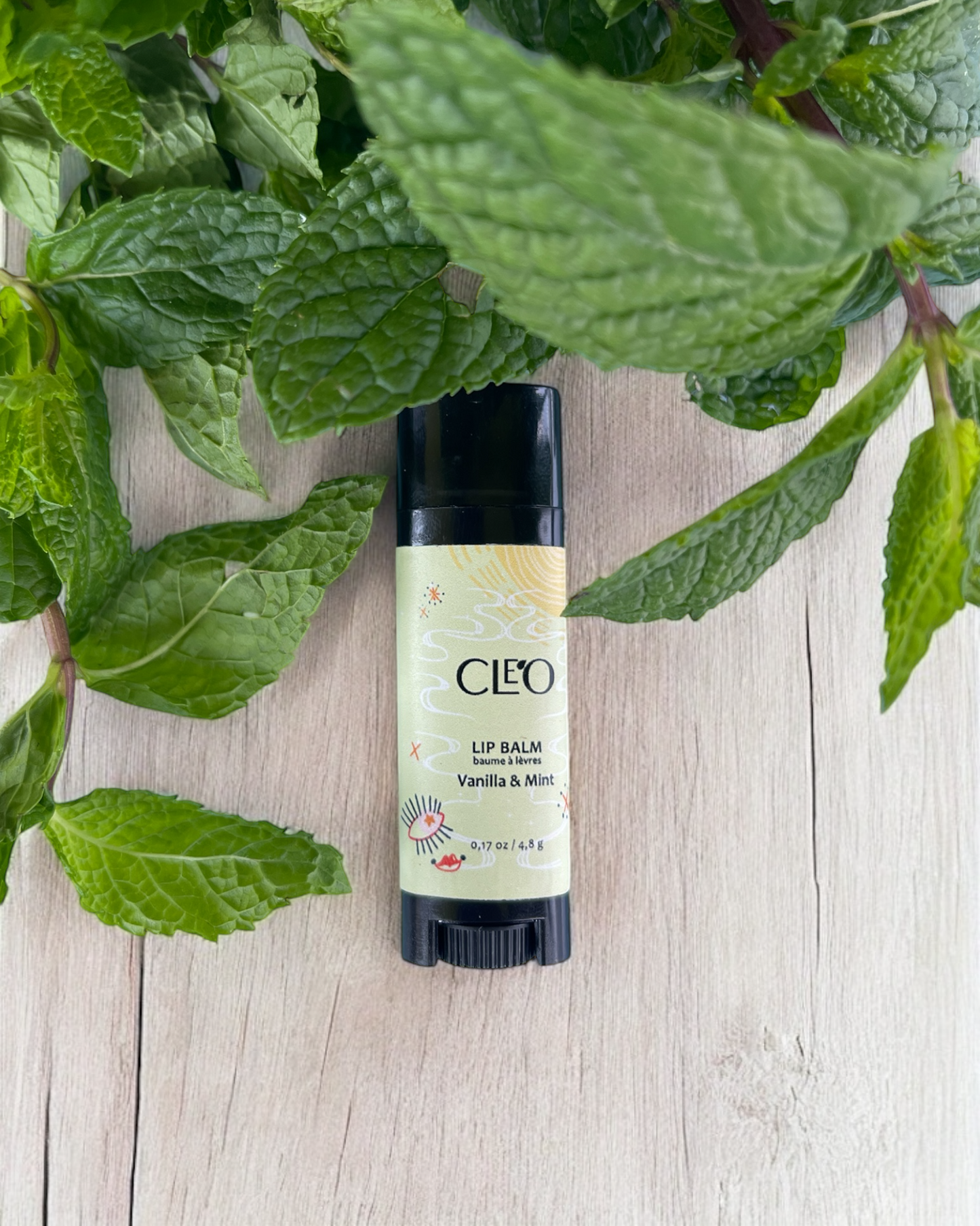 Vanilla & Mint